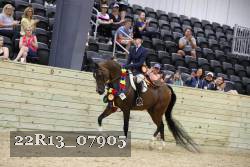 22R13_07905 thumbnail