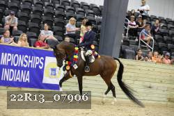 22R13_07906 thumbnail