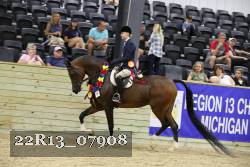 22R13_07908 thumbnail