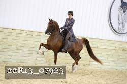 22R13_07923 thumbnail