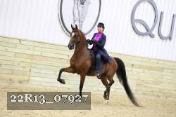 22R13_07927 thumbnail