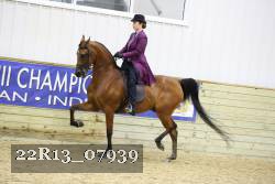 22R13_07939 thumbnail