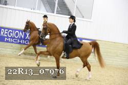22R13_07976 thumbnail
