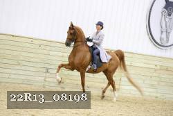 22R13_08198 thumbnail