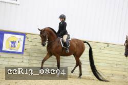 22R13_08294 thumbnail