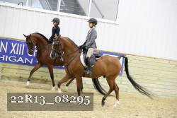 22R13_08295 thumbnail