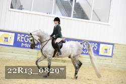 22R13_08297 thumbnail
