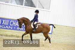 22R13_08299 thumbnail