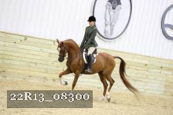 22R13_08300 thumbnail