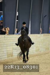 22R13_08301 thumbnail