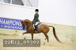 22R13_08302 thumbnail
