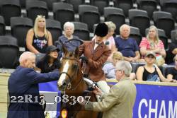22R13_08307 thumbnail