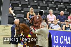 22R13_08308 thumbnail