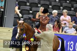 22R13_08309 thumbnail