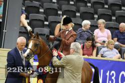 22R13_08311 thumbnail