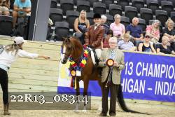 22R13_08314 thumbnail