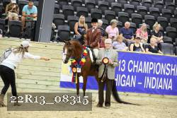22R13_08315 thumbnail