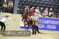 22R13_08316 thumbnail