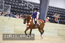 22R13_08338 thumbnail