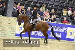 22R13_08434 thumbnail
