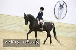 22R13_08543 thumbnail