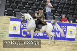 22R13_08659 thumbnail
