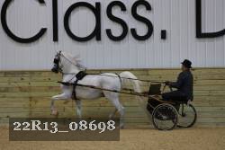 22R13_08698 thumbnail