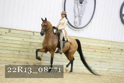 22R13_08771 thumbnail