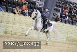 22R13_08833 thumbnail