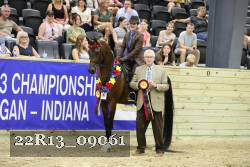 22R13_09061 thumbnail