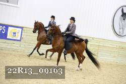 22R13_09163 thumbnail