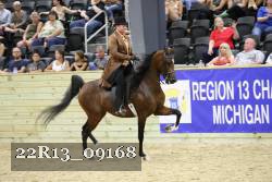 22R13_09168 thumbnail