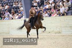 22R13_09185 thumbnail