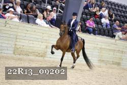 22R13_09202 thumbnail
