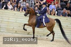 22R13_09203 thumbnail