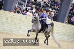 22R13_09204 thumbnail