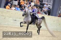 22R13_09205 thumbnail