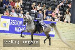 22R13_09206 thumbnail
