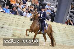 22R13_09208 thumbnail