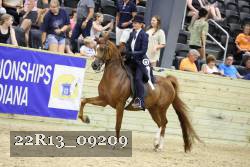 22R13_09209 thumbnail