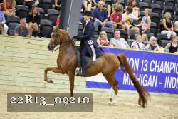 22R13_09210 thumbnail