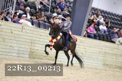 22R13_09213 thumbnail