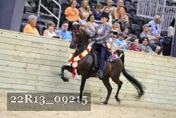 22R13_09215 thumbnail