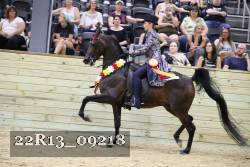 22R13_09218 thumbnail
