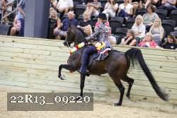 22R13_09220 thumbnail