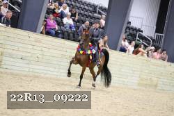 22R13_09222 thumbnail