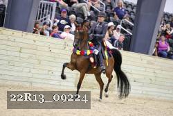 22R13_09224 thumbnail