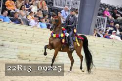 22R13_09225 thumbnail