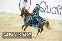 22R13_09267 thumbnail