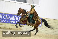 22R13_09285 thumbnail